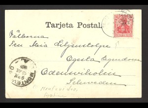 Deutsches Reich Schiffspost Postkarte 10 Pf. Germania Seepost Hamburg-Westafrika